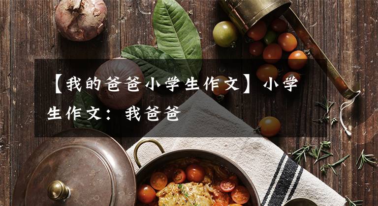 【我的爸爸小学生作文】小学生作文:我爸爸