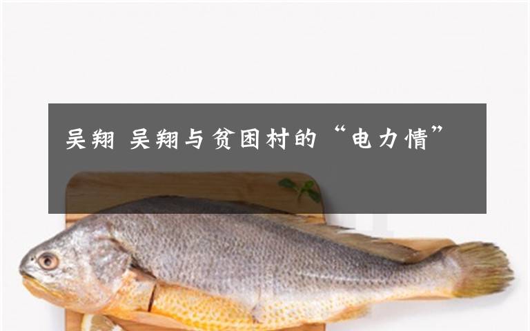 吴翔 吴翔与贫困村的“电力情”