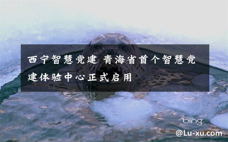 西宁智慧党建 青海省首个智慧党建体验中心正式启用