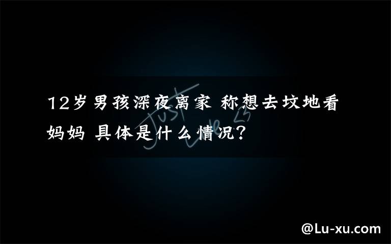 12岁男孩深夜离家 称想去坟地看妈妈 具体是什么情况？