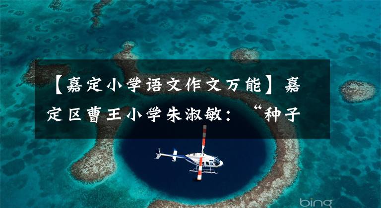 【嘉定小学语文作文万能】嘉定区曹王小学朱淑敏:“种子教师”在农村小学扎根