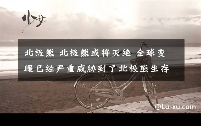 北极熊 北极熊或将灭绝 全球变暖已经严重威胁到了北极熊生存