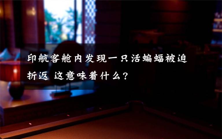 印航客舱内发现一只活蝙蝠被迫折返 这意味着什么?