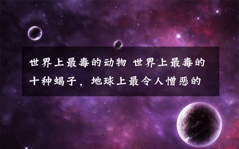 世界上最毒的动物 世界上最毒的十种蝎子,地球上最令人憎恶的动物?