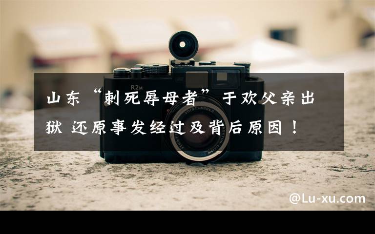 山东“刺死辱母者”于欢父亲出狱 还原事发经过及背后原因！