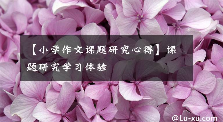 【小学作文课题研究心得】课题研究学习体验