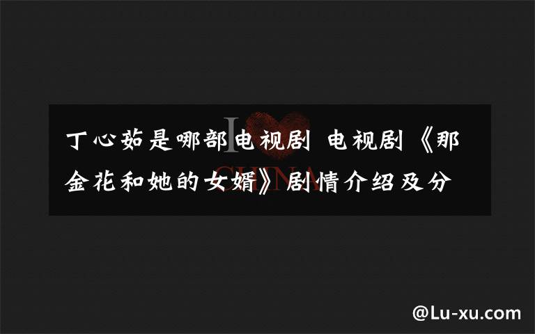 丁心茹是哪部电视剧 电视剧《那金花和她的女婿》剧情介绍及分集剧情介绍