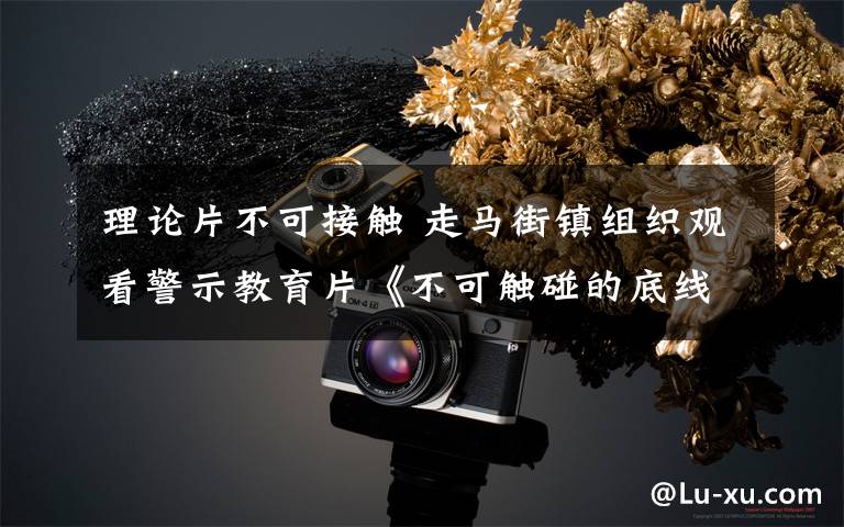 理论片不可接触 走马街镇组织观看警示教育片《不可触碰的底线》