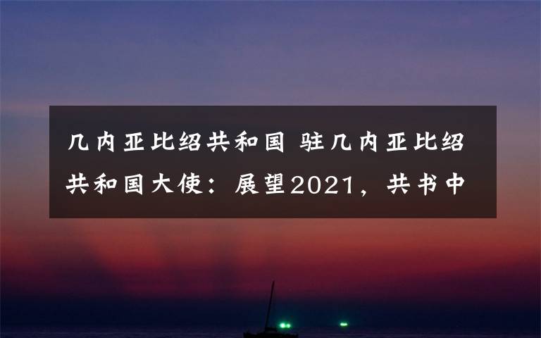 几内亚比绍共和国 驻几内亚比绍共和国大使:展望2021,共书中几比友好新篇章