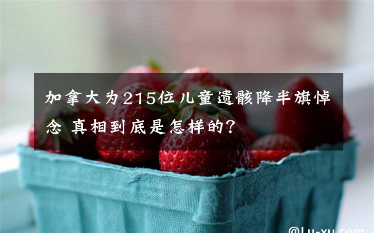 加拿大为215位儿童遗骸降半旗悼念 真相到底是怎样的?