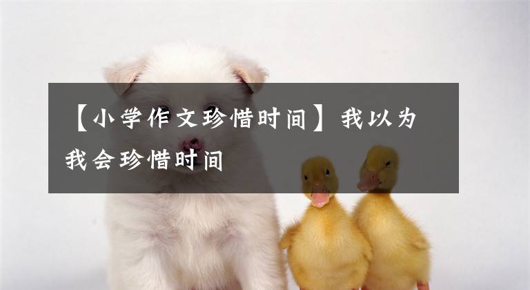 【小学作文珍惜时间】我以为我会珍惜时间