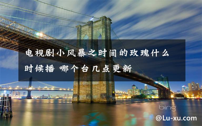 电视剧小风暴之时间的玫瑰什么时候播 哪个台几点更新