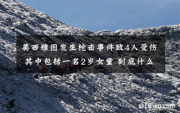 美西雅图发生枪击事件致4人受伤 其中包括一名2岁女童 到底什么情况呢?