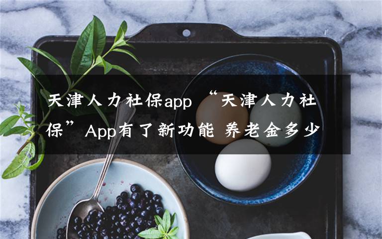 天津人力社保app “天津人力社保”App有了新功能 养老金多少一键可测算
