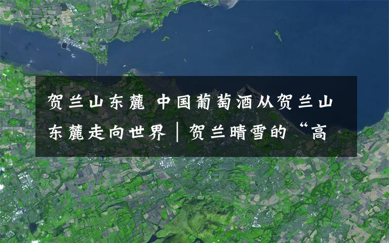 贺兰山东麓 中国葡萄酒从贺兰山东麓走向世界｜贺兰晴雪的“高光时刻”
