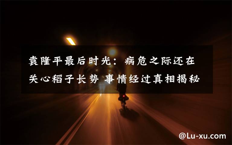 袁隆平最后时光:病危之际还在关心稻子长势 事情经过真相揭秘!