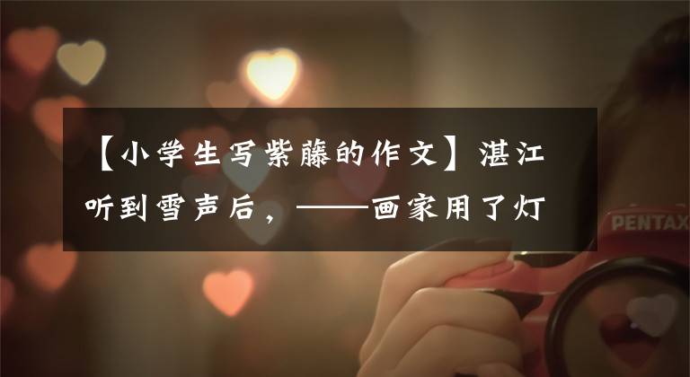 【小学生写紫藤的作文】湛江听到雪声后，——画家用了灯笼树