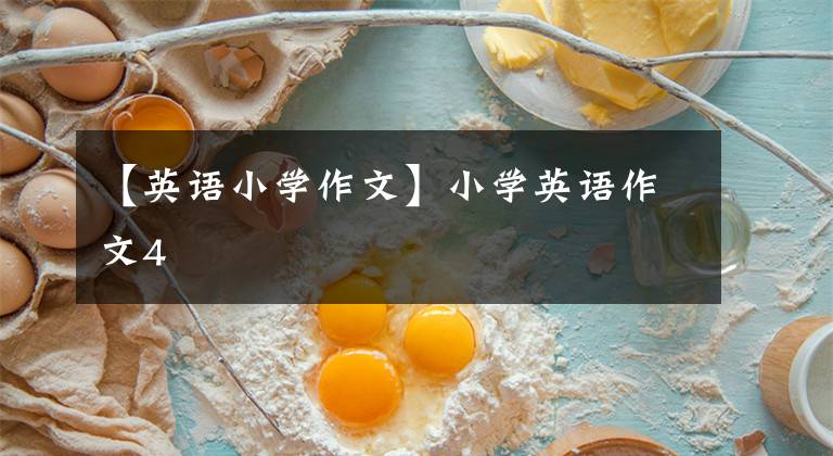 【英语小学作文】小学英语作文4