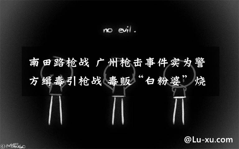 南田路枪战 广州枪击事件实为警方缉毒引枪战 毒贩“白粉婆”烧房对峙
