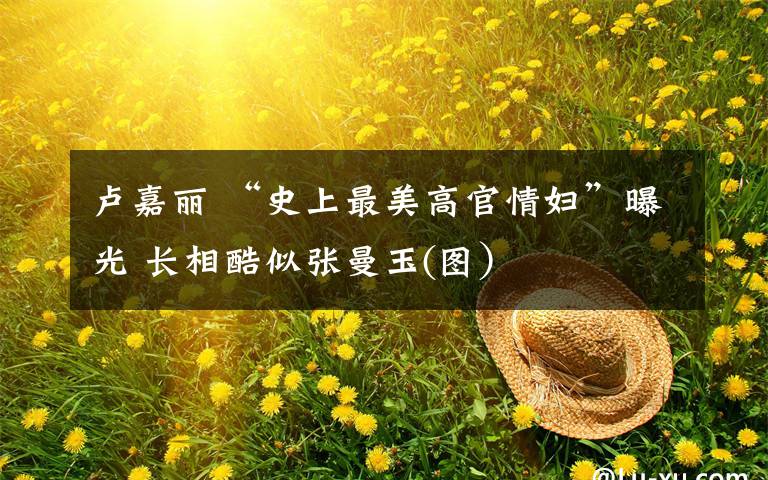 卢嘉丽 “史上最美高官情妇”曝光 长相酷似张曼玉(图)