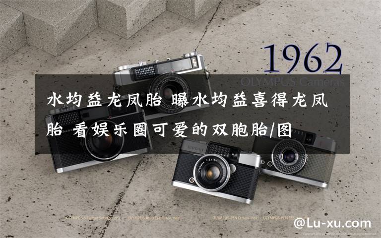 水均益龙凤胎 曝水均益喜得龙凤胎 看娱乐圈可爱的双胞胎/图