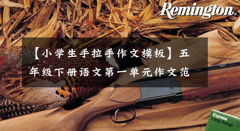 【小学生手拉手作文模板】五年级下册语文第一单元作文范文摘要,儿童所长