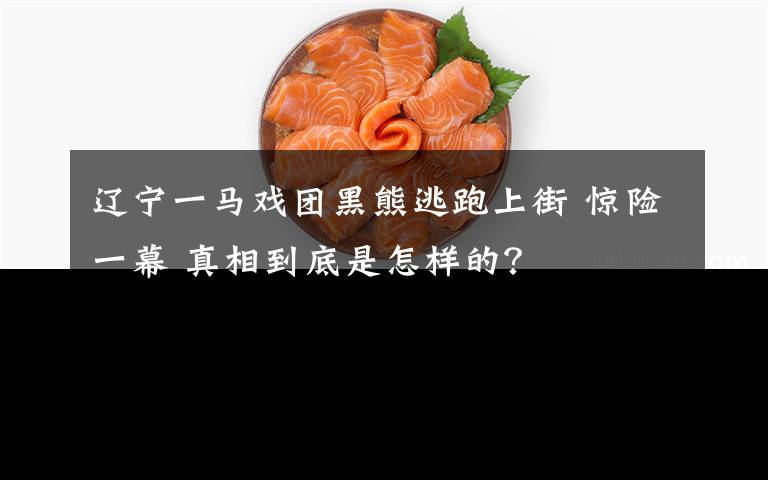 辽宁一马戏团黑熊逃跑上街 惊险一幕 真相到底是怎样的?