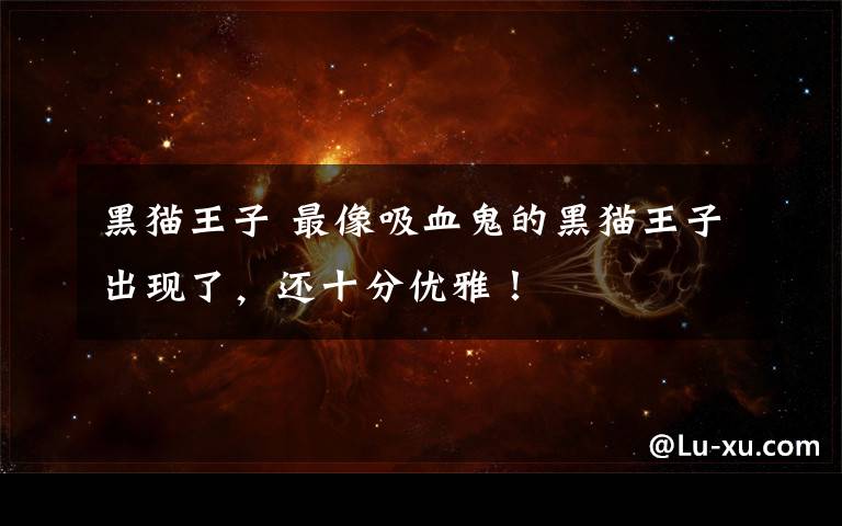 黑猫王子 最像吸血鬼的黑猫王子出现了,还十分优雅!