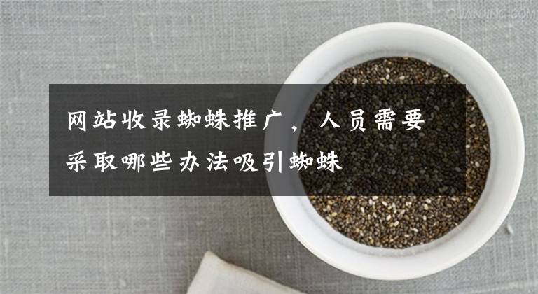网站收录蜘蛛推广,人员需要采取哪些办法吸引蜘蛛