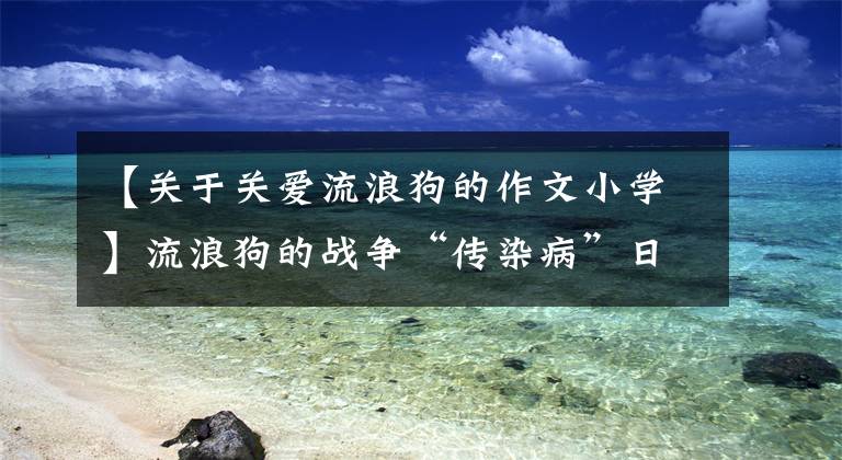 【关于关爱流浪狗的作文小学】流浪狗的战争“传染病”日记信念