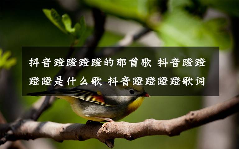 抖音蹬蹬蹬蹬的那首歌 抖音蹬蹬蹬蹬是什么歌 抖音蹬蹬蹬蹬歌词介绍有什么含义吗