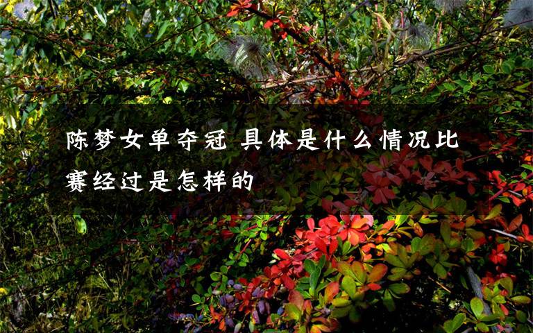 陈梦女单夺冠 具体是什么情况比赛经过是怎样的