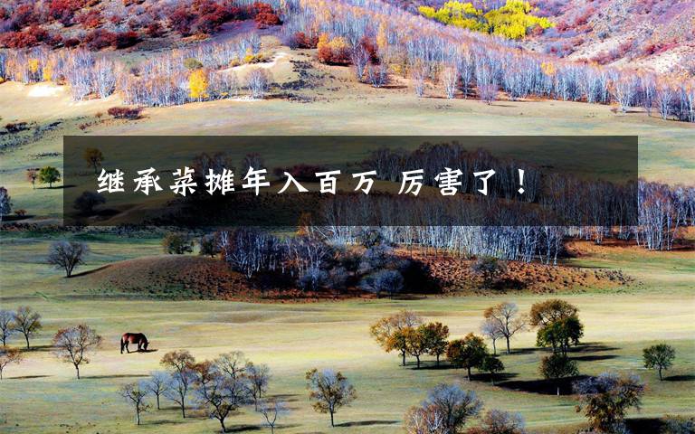 继承菜摊年入百万 厉害了!