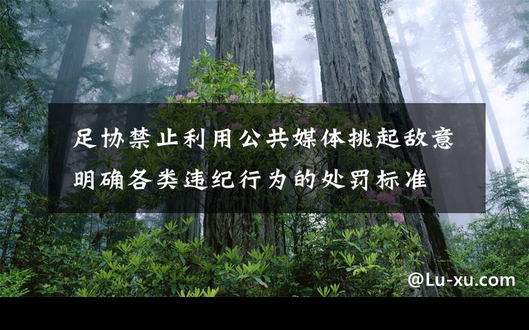  足协禁止利用公共媒体挑起敌意 明确各类违纪行为的处罚标准