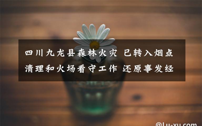 四川九龙县森林火灾 已转入烟点清理和火场看守工作 还原事发经过及背后原因!