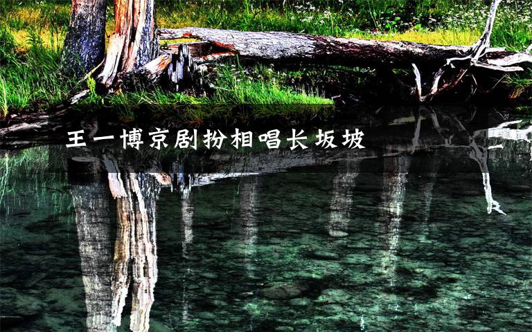 王一博京剧扮相唱长坂坡