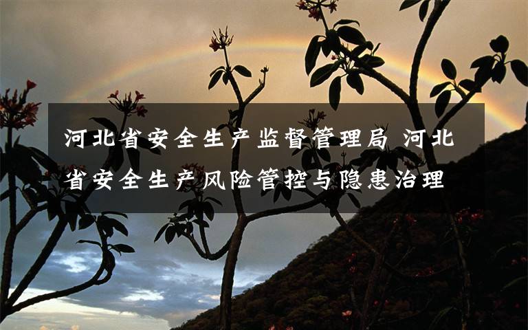 河北省安全生产监督管理局 河北省安全生产风险管控与隐患治理规定(河北省人民政府令〔2018〕第2号)