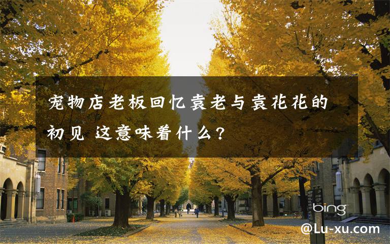 宠物店老板回忆袁老与袁花花的初见 这意味着什么?
