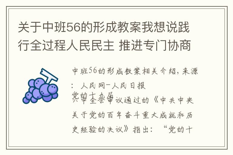 关于中班56的形成教案我想说践行全过程人民民主 推进专门协商机构建设