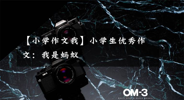 【小学作文我】小学生优秀作文:我是蚂蚁