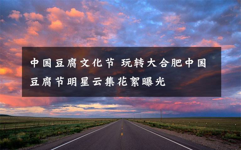 中国豆腐文化节 玩转大合肥中国豆腐节明星云集花絮曝光