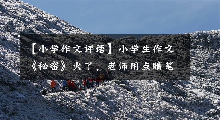 【小学作文评语】小学生作文《秘密》火了,老师用点睛笔评论,可惜不当断手。
