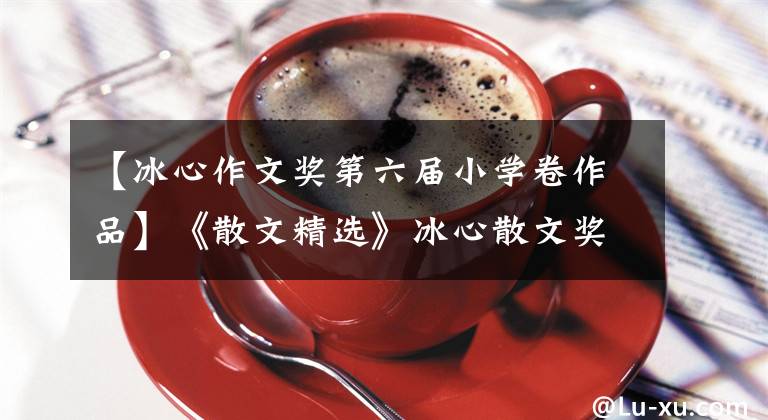 【冰心作文奖第六届小学卷作品】《散文精选》冰心散文奖获奖作品《远去的野渡》