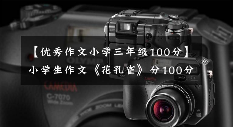 【优秀作文小学三年级100分】小学生作文《花孔雀》分100分,老师忙碌的安慰,网友:看你笑哭。