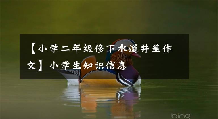 【小学二年级修下水道井盖作文】小学生知识信息