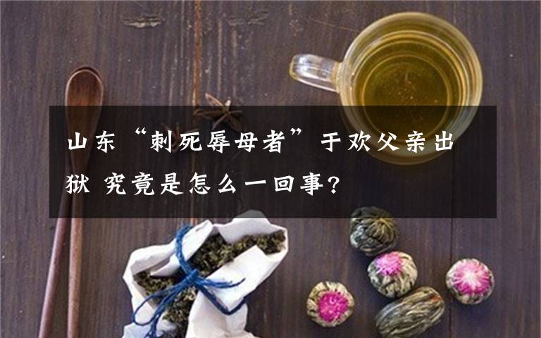 山东“刺死辱母者”于欢父亲出狱 究竟是怎么一回事?