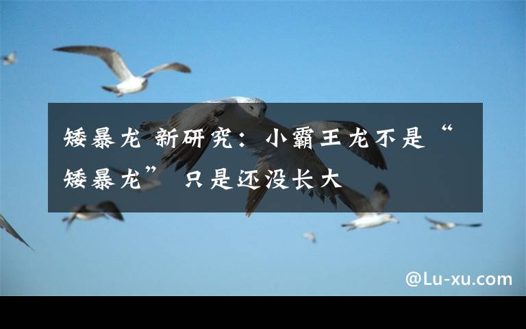 矮暴龙 新研究:小霸王龙不是“矮暴龙” 只是还没长大