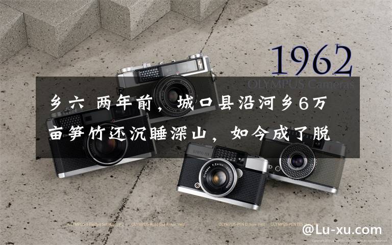 乡六 两年前,城口县沿河乡6万亩笋竹还沉睡深山,如今成了脱贫致富支柱产业——工厂进村 竹笋出山