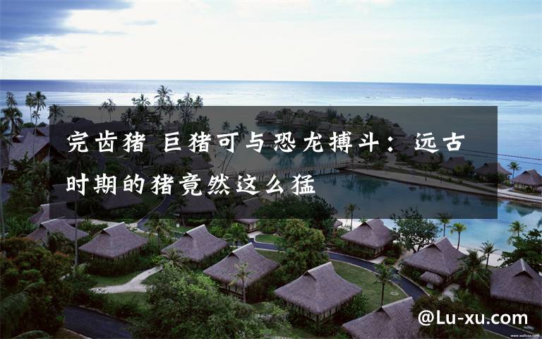 完齿猪 巨猪可与恐龙搏斗:远古时期的猪竟然这么猛