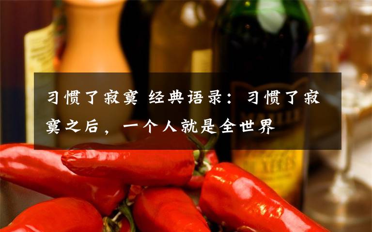 习惯了寂寞 经典语录:习惯了寂寞之后,一个人就是全世界